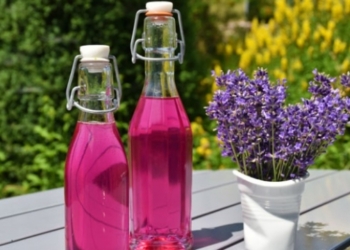 Coba 5 Bahan Alami Pengusir Nyamuk