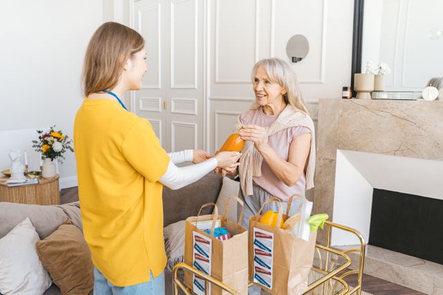 caregiver stroke di rumah